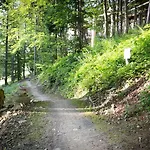Slotwiny Arena Krynica Zdroj