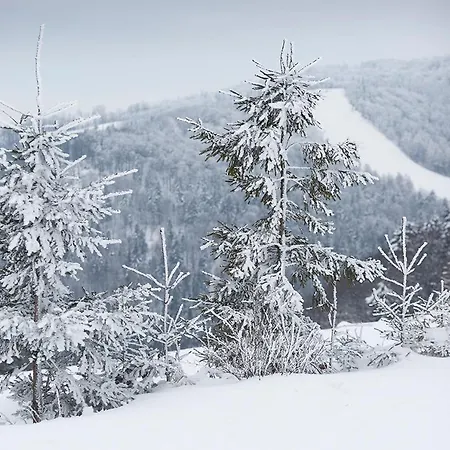 Słotwiny Arena Pensjonat Krynica-Zdrój